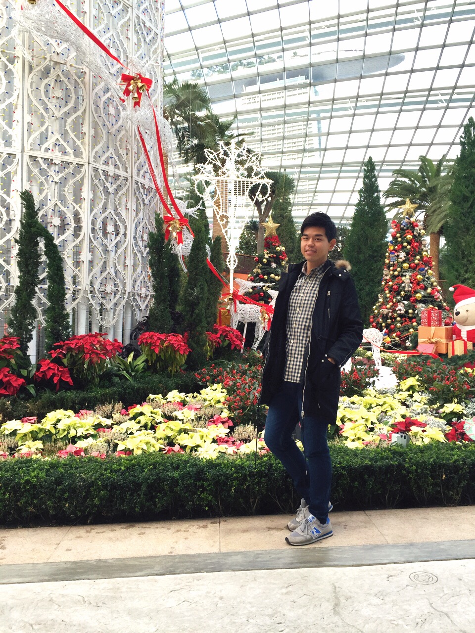 Yuletide in the Flower Dome at Gardens by the Bay