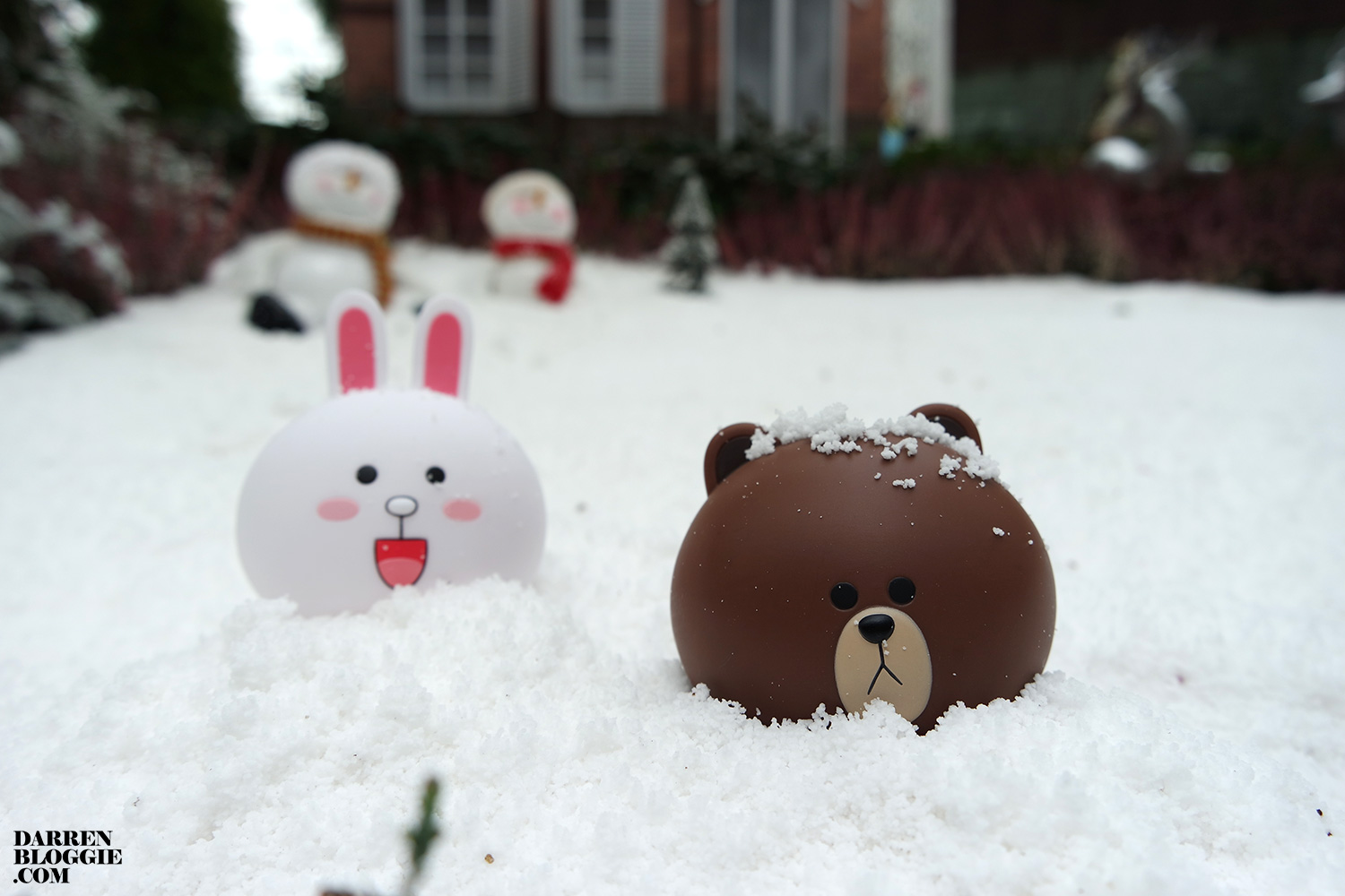 Brown and Cony at Gardens by the Bay